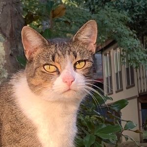 Meet your Posher, Tammy